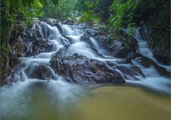 A waterfall cascading through green forest