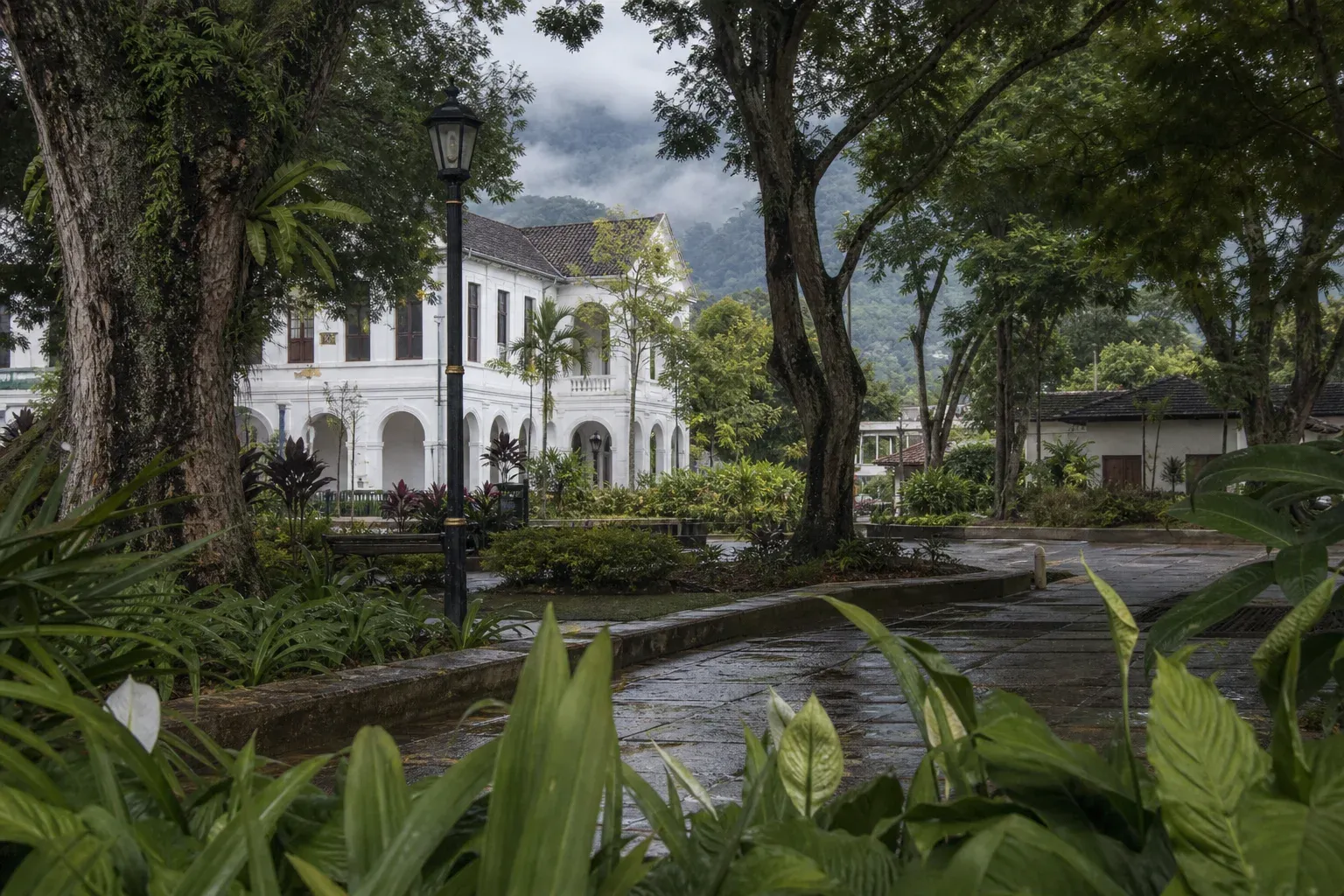 AI-generated editorial interpretation of a shaded civic garden and heritage-era building near forested hills