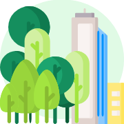 Illustration of layered rainforest vegetation