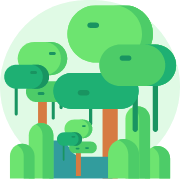 Illustration of a mountain rising above rainforest