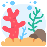 Illustration of coral and marine life
