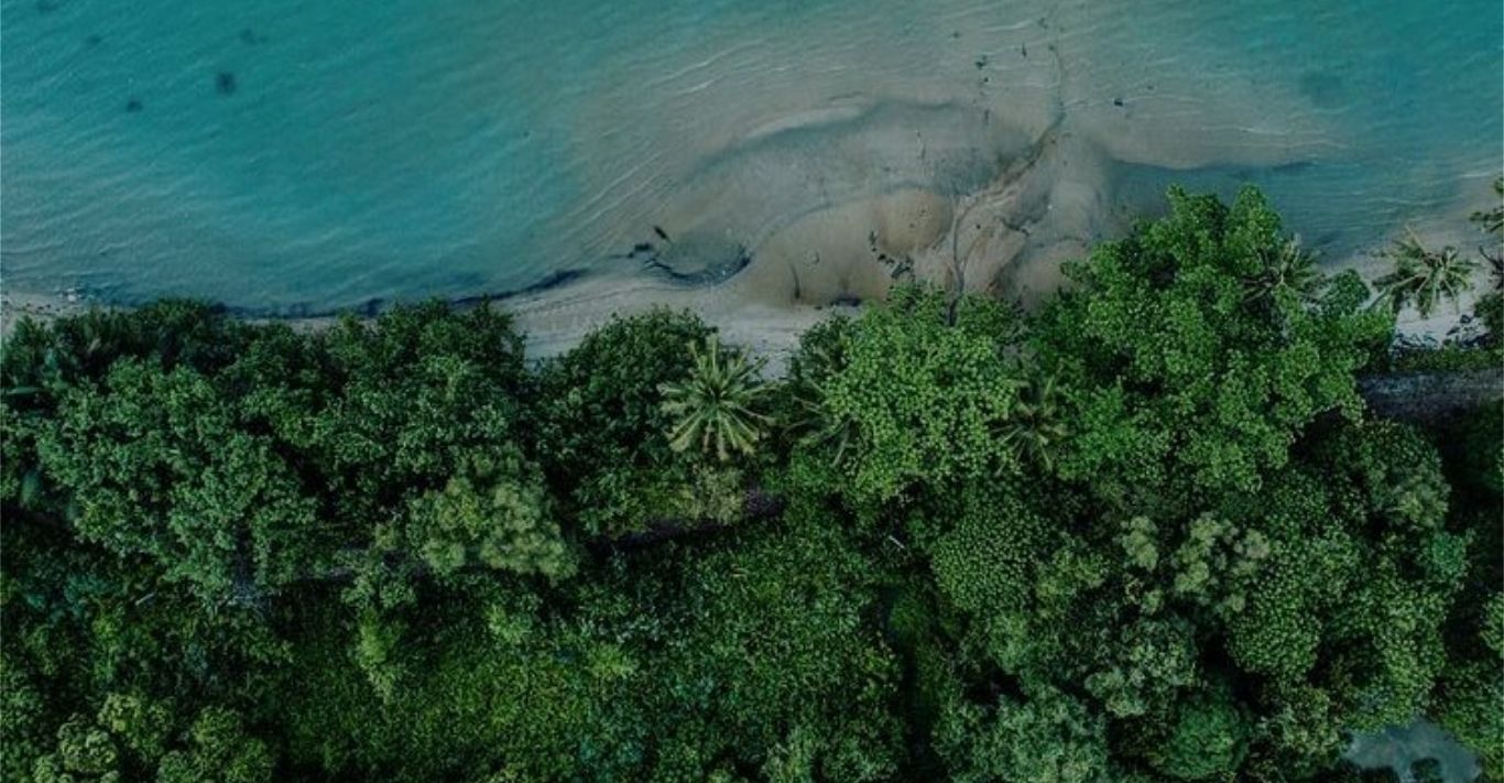 A lush Malaysian island rising from blue water