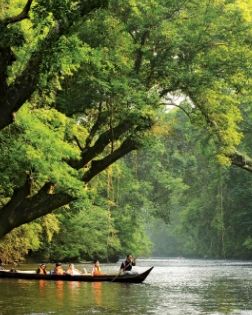 A river winding through dense forest in Taman Negara
