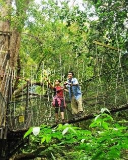 A forested beach in Penang National Park