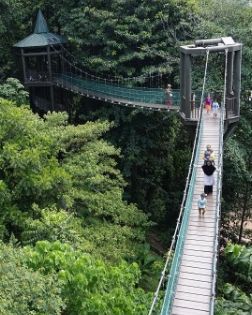 A canopy walkway through KL Forest Eco Park